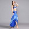 Belly Dance Costume Belly Dance Skirt Long Belly Dance Bra Belt Belly Dancing Outfit for Women Carnival Costumes