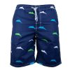 Men's Board Shorts, Quick Dry Swimwear Beach Holiday Party Bermuda Swim Big Pants …