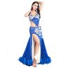 Belly Dancer Costumes for Women Belly Dance Skirt Long Belly Dance Bra Mermaid Bellydance Skirts Carnival Outfit