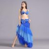 Belly Dance Costume Belly Dance Skirt Long Belly Dance Bra Belt Belly Dancing Outfit for Women Carnival Costumes