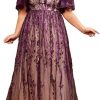 Women's Plus Size Evening Gown Ball Dress V-Neck Embroidered Lace Mesh Long Skirt Party Dress