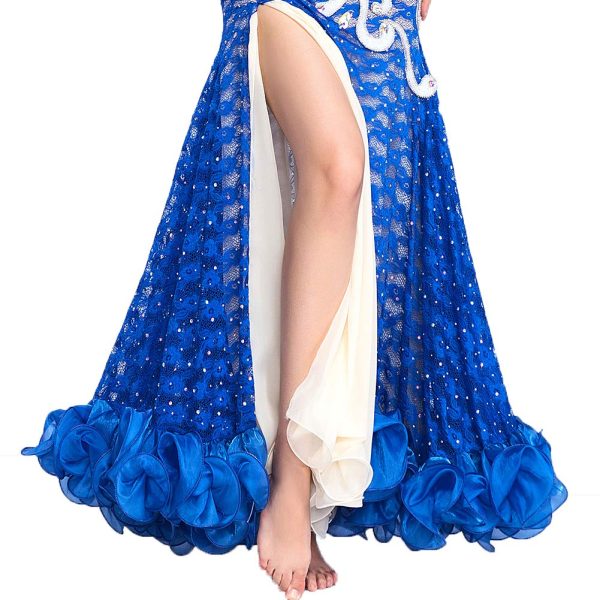 Belly Dancer Costumes for Women Belly Dance Skirt Long Belly Dance Bra Mermaid Bellydance Skirts Carnival Outfit